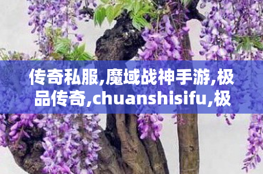 传奇私服,魔域战神手游,极品传奇,chuanshisifu,极品传奇