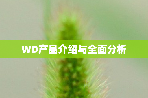 WD产品介绍与全面分析