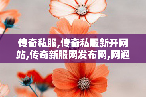 传奇私服,传奇私服新开网站,传奇新服网发布网,网通sf,传奇新服网发布网