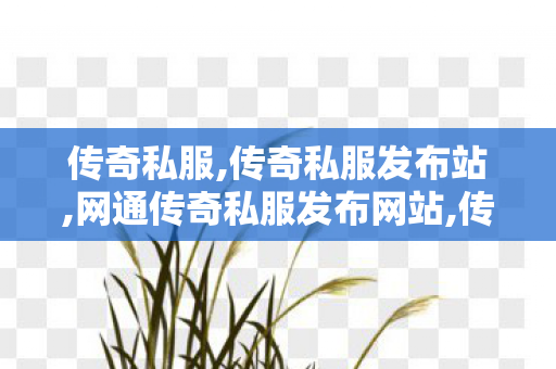 传奇私服,传奇私服发布站,网通传奇私服发布网站,传奇世界私发服网,网通传奇私服发布网站