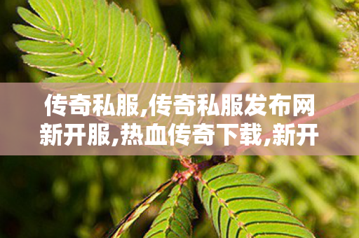 传奇私服,传奇私服发布网新开服,热血传奇下载,新开合击传奇私,热血传奇下载