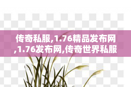 传奇私服,1.76精品发布网,1.76发布网,传奇世界私服吧,1.76发布网