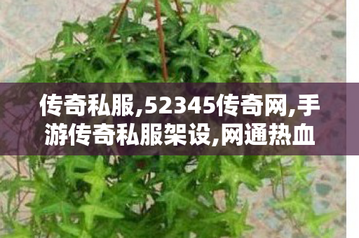 传奇私服,52345传奇网,手游传奇私服架设,网通热血传奇sf,手游传奇私服架设
