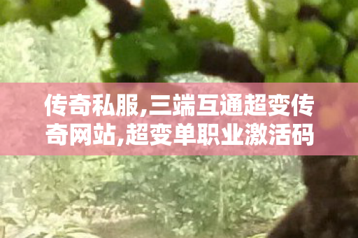 传奇私服,三端互通超变传奇网站,超变单职业激活码,传奇世界私服登陆器,超变单职业激活码