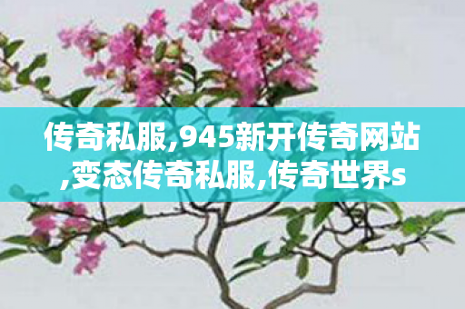 传奇私服,945新开传奇网站,变态传奇私服,传奇世界sf发布网0,变态传奇私服