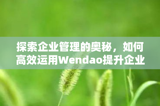 探索企业管理的奥秘，如何高效运用Wendao提升企业运营效率