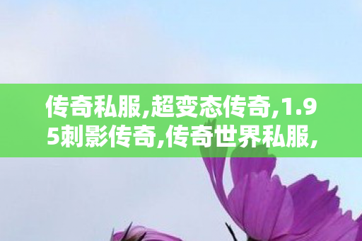 传奇私服,超变态传奇,1.95刺影传奇,传奇世界私服,传世私服新开,1.95刺影传奇