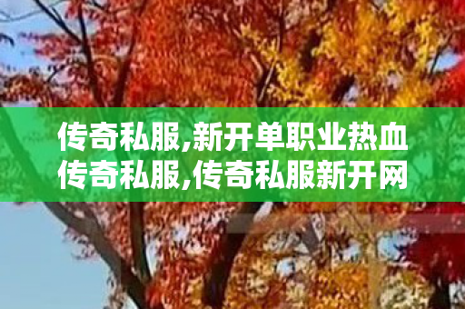 传奇私服,新开单职业热血传奇私服,传奇私服新开网站,找传世私服网站,传奇私服新开网站