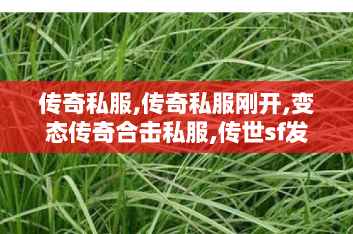 传奇私服,传奇私服刚开,变态传奇合击私服,传世sf发布站,变态传奇合击私服