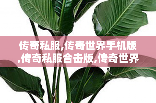 传奇私服,传奇世界手机版,传奇私服合击版,传奇世界私服,传世私服,传奇私服合击版