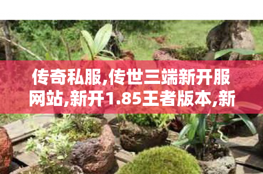 传奇私服,传世三端新开服网站,新开1.85王者版本,新开传奇世界网站刚开一秒,新开1.85王者版本