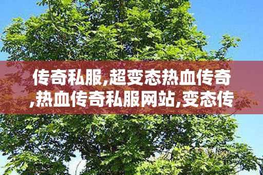传奇私服,超变态热血传奇,热血传奇私服网站,变态传世sf发布网,热血传奇私服网站