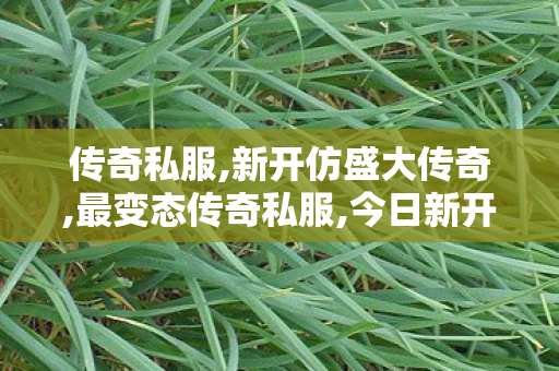 传奇私服,新开仿盛大传奇,最变态传奇私服,今日新开传奇网站发布网,最变态传奇私服