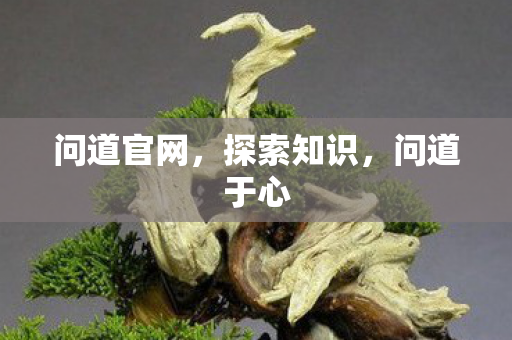 问道官网，探索知识，问道于心