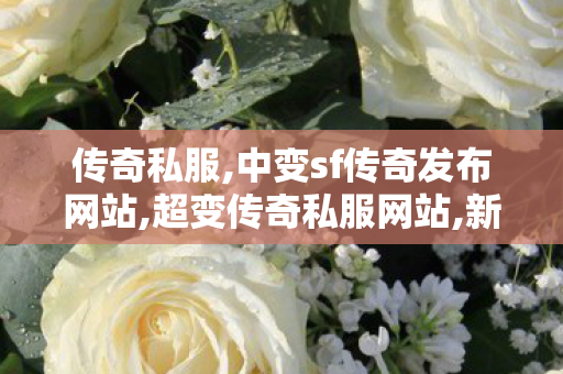 传奇私服,中变sf传奇发布网站,超变传奇私服网站,新开迷失单职业网站,超变传奇私服网站