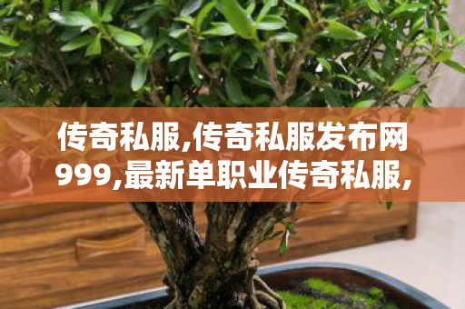传奇私服,传奇私服发布网999,最新单职业传奇私服,每日新开传世私服,最新单职业传奇私服