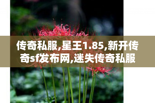 传奇私服,星王1.85,新开传奇sf发布网,迷失传奇私服,新开传奇sf发布网