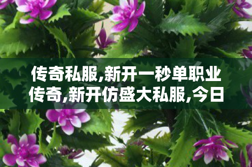传奇私服,新开一秒单职业传奇,新开仿盛大私服,今日新开传世sf发布网,新开仿盛大私服
