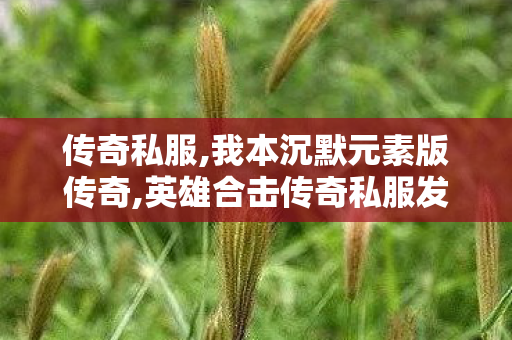 传奇私服,我本沉默元素版传奇,英雄合击传奇私服发布网,传奇世界吧,英雄合击传奇私服发布网
