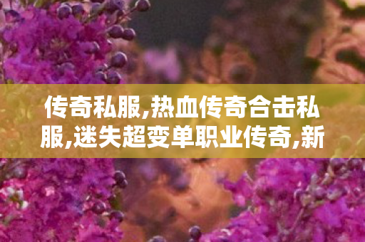 传奇私服,热血传奇合击私服,迷失超变单职业传奇,新开传世,迷失超变单职业传奇
