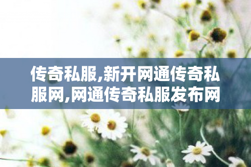 传奇私服,新开网通传奇私服网,网通传奇私服发布网站,传奇世界老版本下载,网通传奇私服发布网站