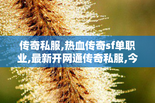 传奇私服,热血传奇sf单职业,最新开网通传奇私服,今日刚开传奇,最新开网通传奇私服