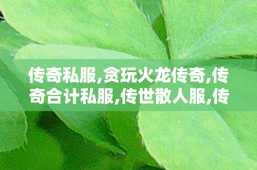 传奇私服,贪玩火龙传奇,传奇合计私服,传世散人服,传奇合计私服