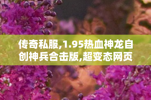 传奇私服,1.95热血神龙自创神兵合击版,超变态网页版传奇,传奇世界私服发布,超变态网页版传奇