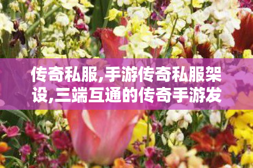 传奇私服,手游传奇私服架设,三端互通的传奇手游发布网站,今日新开传奇世界私发服网,三端互通的传奇手游发布网站