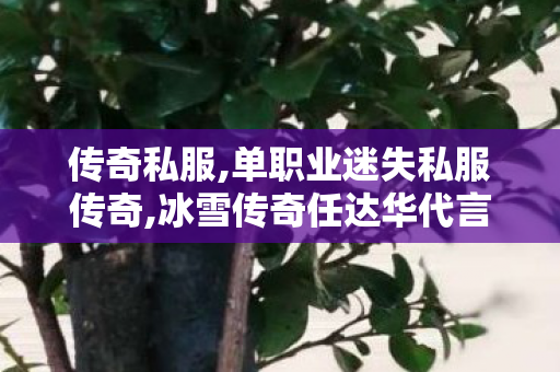 传奇私服,单职业迷失私服传奇,冰雪传奇任达华代言,传世私服新开找传世网,冰雪传奇任达华代言
