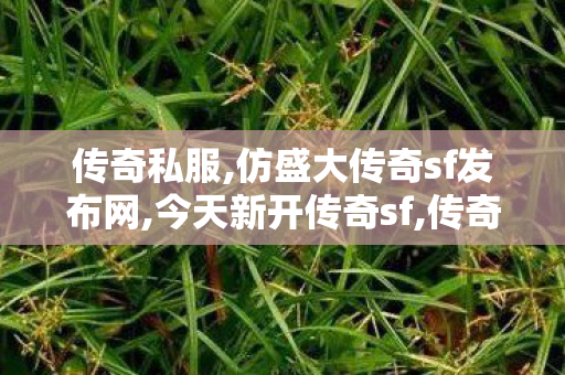 传奇私服,仿盛大传奇sf发布网,今天新开传奇sf,传奇世界复古无元神,今天新开传奇sf