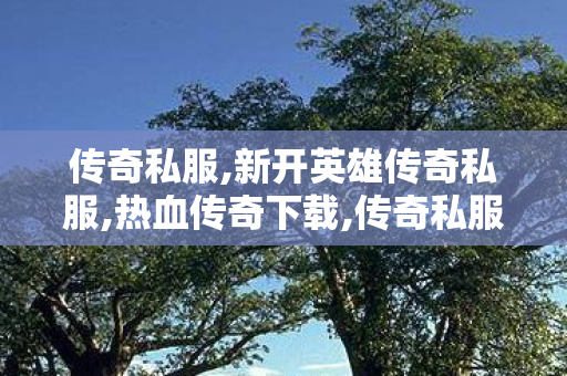 传奇私服,新开英雄传奇私服,热血传奇下载,传奇私服网站大全,热血传奇下载