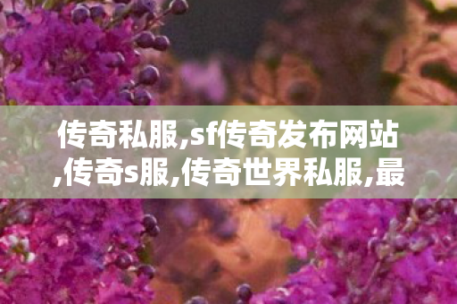 传奇私服,sf传奇发布网站,传奇s服,传奇世界私服,最新传世私服,传奇s服