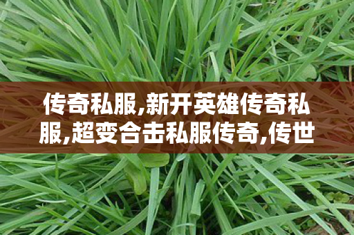 传奇私服,新开英雄传奇私服,超变合击私服传奇,传世sf最新发布网,超变合击私服传奇