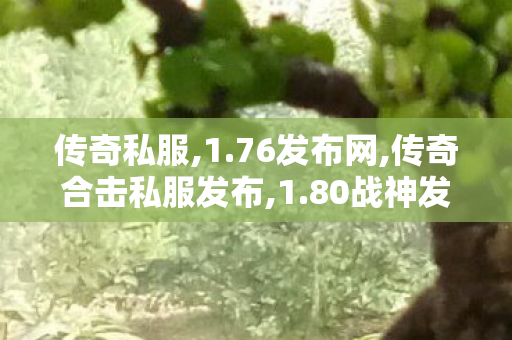传奇私服,1.76发布网,传奇合击私服发布,1.80战神发布网,传奇合击私服发布