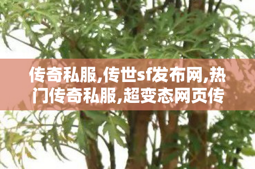 传奇私服,传世sf发布网,热门传奇私服,超变态网页传奇,热门传奇私服