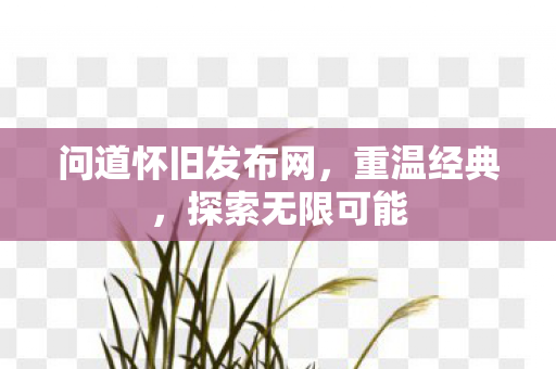 问道怀旧发布网，重温经典，探索无限可能