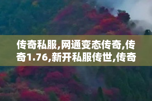 传奇私服,网通变态传奇,传奇1.76,新开私服传世,传奇1.76