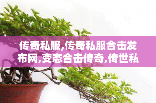 传奇私服,传奇私服合击发布网,变态合击传奇,传世私服网,变态合击传奇