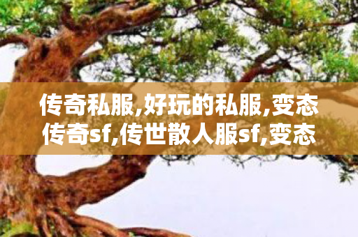 传奇私服,好玩的私服,变态传奇sf,传世散人服sf,变态传奇sf