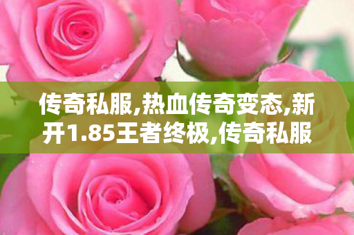 传奇私服,热血传奇变态,新开1.85王者终极,传奇私服发服网,新开1.85王者终极