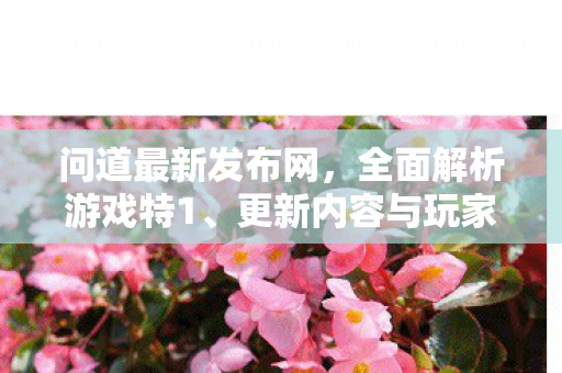 问道最新发布网，全面解析游戏特1、更新内容与玩家攻略