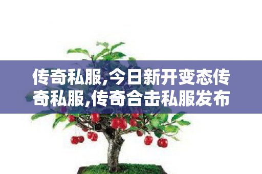 传奇私服,今日新开变态传奇私服,传奇合击私服发布,传世sf传奇世界私服网,传奇合击私服发布