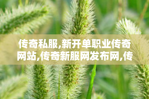 传奇私服,新开单职业传奇网站,传奇新服网发布网,传世超变,传奇新服网发布网