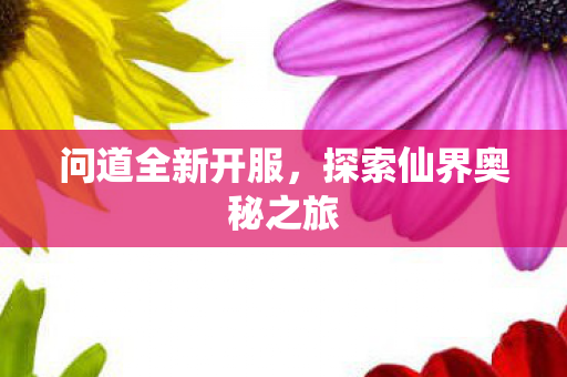 问道全新开服，探索仙界奥秘之旅