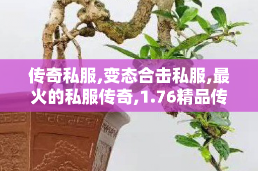 传奇私服,变态合击私服,最火的私服传奇,1.76精品传奇发布网,最火的私服传奇
