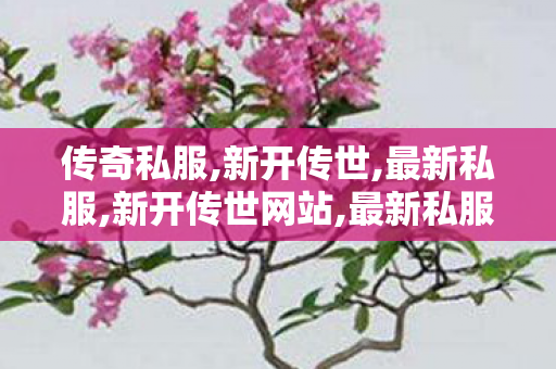 传奇私服,新开传世,最新私服,新开传世网站,最新私服