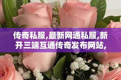传奇私服,最新网通私服,新开三端互通传奇发布网站,传奇世界sf发布网站,新开三端互通传奇发布网站