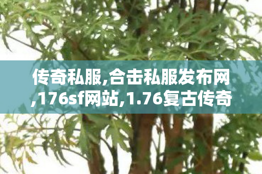 传奇私服,合击私服发布网,176sf网站,1.76复古传奇私服,176sf网站