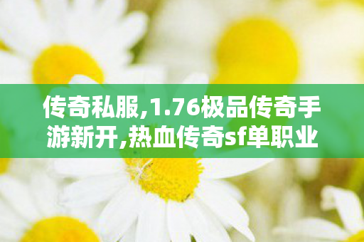 传奇私服,1.76极品传奇手游新开,热血传奇sf单职业,新开传奇私服,热血传奇sf单职业